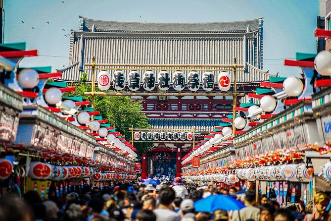 Tokyo Full Day Tour with Licensed Guide and Vehicle from Yokohama - Odaiba, Shibamata, and Nezu for a different Tokyo