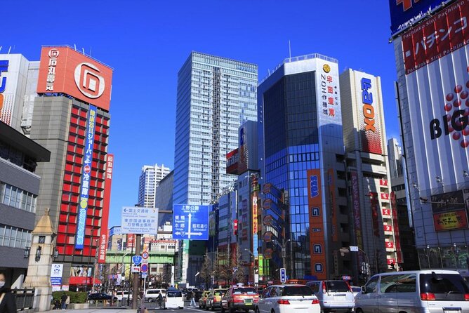 Tokyo Go Kart: Asakusa, Skytree, and Akihabara <strong>IDP MUST</strong> – Why this Asakusa go-kart ride feels different’ /></p>
<p><p>The appeal is not simply speed. You get a street-level view of Tokyo while sitting lower than the surrounding cars, buses, signs, and buildings. The guide rides ahead, keeps the group together, and handles the directions. Your job is to follow carefully, watch the road, and enjoy the strange pleasure of sightseeing from a go-kart.</p>
</p>
<p><p>The cartoon costumes add a playful layer. You can suit up before leaving the shop, then ride past ordinary Tokyo commuters dressed as a favorite character. The effect is deliberately silly, and that is part of the fun. People may notice you and take pictures, so this is not an activity for anyone hoping to blend into the background.</p>
</p>
<p><p>The company describes this as a private activity, meaning only your group participates. That matters if you are booking with family or friends. You are not being added to a large public group, although the ride still follows the guide and the rules of the road.</p>
</p>
<div class="twil" style="margin: 20px 0; padding: 15px 0;"><p>More Go-Kart Tours in Tokyo</p><ul style="margin: 10px 0; padding-left: 0; list-style: none;"><li style="margin: 0 0 12px 0; padding: 0 0 12px 0; border-bottom: 1px solid #FFEAE1; line-height: 1.4;"><a href="https://japanesetourreviews.com/flagship-2-hours-official-street-go-kart-tour-tokyo-bay-shop/">Flagship 2-Hours Official Street Go-Kart Tour – Tokyo Bay Shop</a><br><span style="font-size: 0.82em; color: #555;"><span style="color: #FF6B2C;">★</span> 5.0 &nbsp;&middot;&nbsp; 4,974 reviews</span></li><li style="margin: 0 0 12px 0; padding: 0 0 12px 0; border-bottom: 1px solid #FFEAE1; line-height: 1.4;"><a href="https://japanesetourreviews.com/official-street-go-kart-in-shibuya/">Official Street Go-Kart in Shibuya</a><br><span style="font-size: 0.82em; color: #555;"><span style="color: #FF6B2C;">★</span> 5.0 &nbsp;&middot;&nbsp; 3,435 reviews</span></li><li style="margin: 0; padding: 0; border-bottom: none; line-height: 1.4;"><a href="https://japanesetourreviews.com/official-street-go-kart-tour-akihabara/">Official Street Go-Kart Tour – Akihabara</a><br><span style="font-size: 0.82em; color: #555;"><span style="color: #FF6B2C;">★</span> 5.0 &nbsp;&middot;&nbsp; 1,578 reviews</span></li></ul></div><h2>Starting at Monkey Adventure Kart Asakusa</h2>
<p><img width="669" height="446" decoding="async" src=