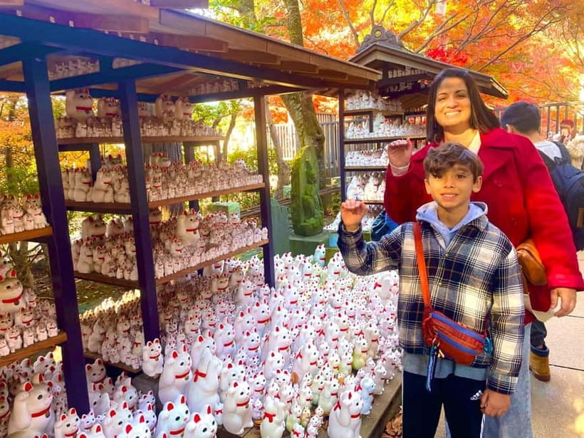 Tokyo: Gotokuji Cat Temple, Shinjuku Cat Cafe & 3D Cat Tour - Key points to know before you book
