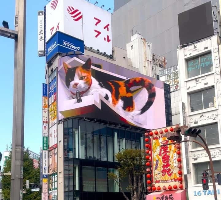 Tokyo: Gotokuji Cat Temple, Shinjuku Cat Cafe & 3D Cat Tour - The train ride from Shinjuku to Gotokuji