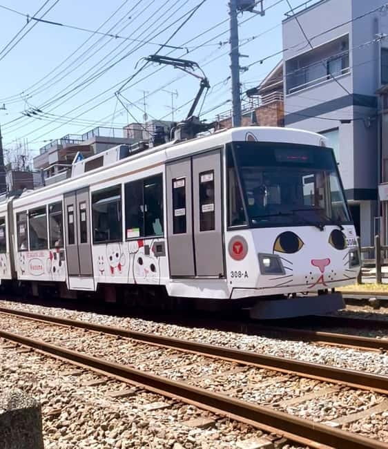 Tokyo: Gotokuji Cat Temple, Shinjuku Cat Cafe & 3D Cat Tour - A local pause on Gotokuji Shopping Street