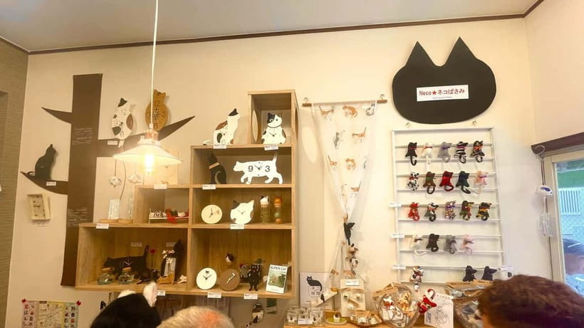 Tokyo: Gotokuji Cat Temple, Shinjuku Cat Cafe & 3D Cat Tour - Who should book this experience?