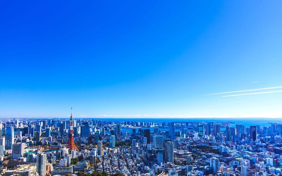 Tokyo: Guided Helicopter Ride - Key points before you book