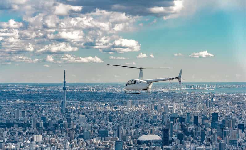 Tokyo: Guided Helicopter Ride - Who will get the most from this flight