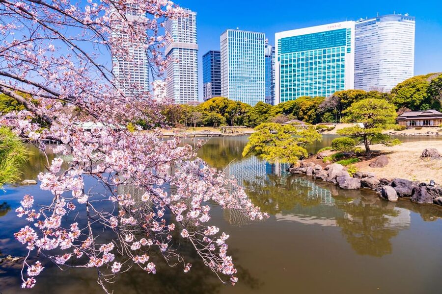Tokyo: Hama-rikyu Gardens tour with Japanese Tea & Sweets - Following the Kaiyushiki circular garden