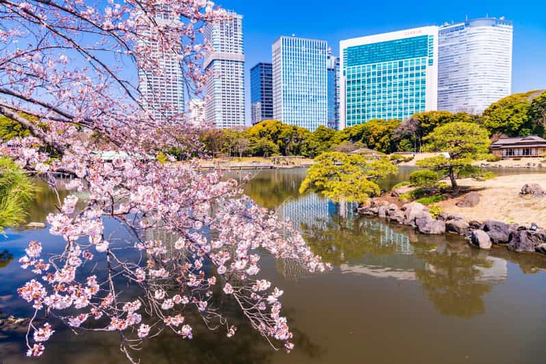 Tokyo: Hama-rikyu Gardens tour with Japanese Tea & Sweets - Matcha and wagashi in the garden tea house