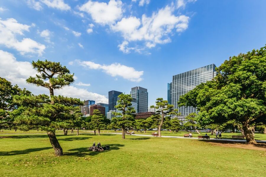 Tokyo: Hop-On Hop-Off Sightseeing Bus Ticket - Is $30 good value in Tokyo?