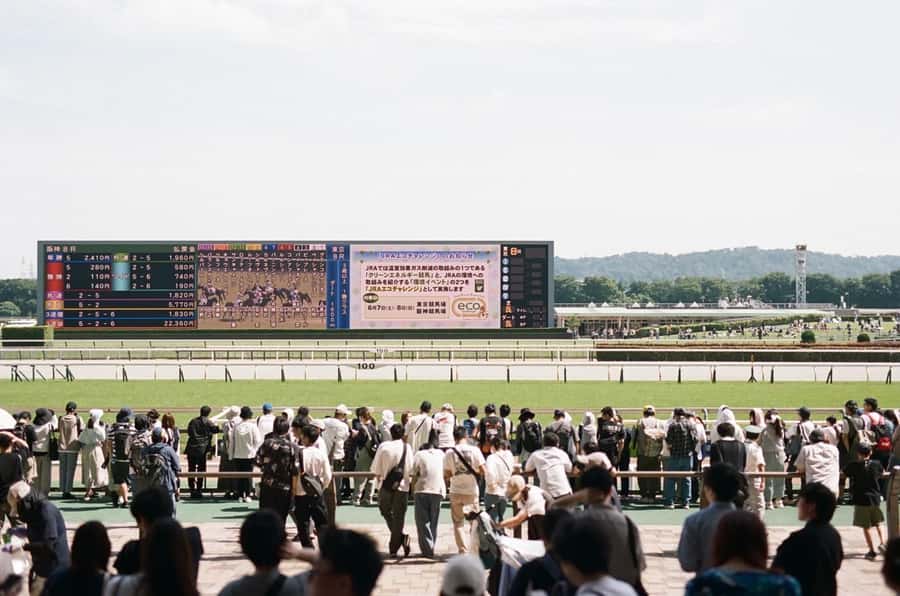 Tokyo: Horse Racing Tour with Local Fan - Getting started with Japanese racing