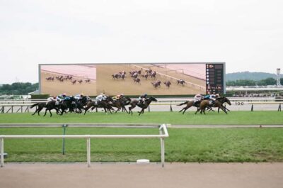 Horse Racing Tour with Local Fan