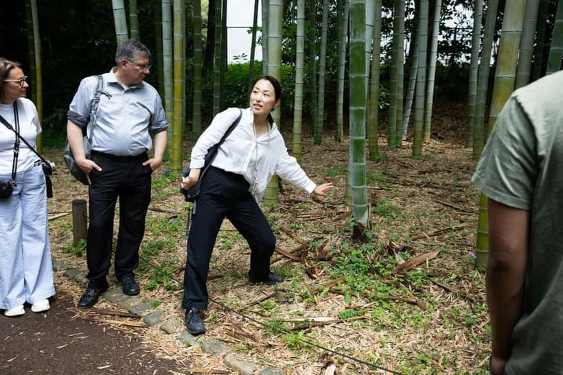 Tokyo: Imperial Palace East Gardens Walking Tour - Seasonal beauty, from blossoms to autumn leaves