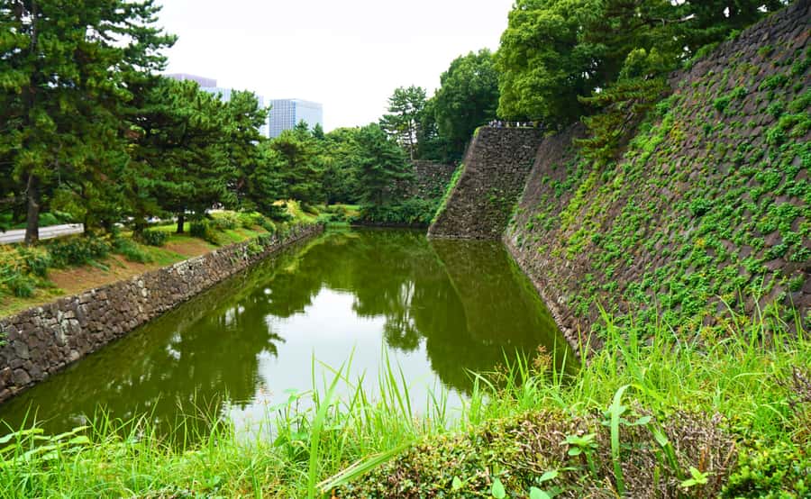 Tokyo: Imperial Palace, the history of Japan (ENGLISH GUIDE) - The barracks, koi, and best photo spots