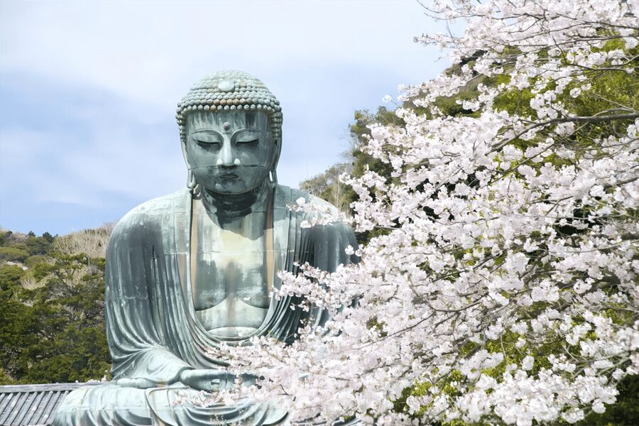 Tokyo: Kamakura & Enoshima Day Tour with Pickup & Train Ride - The famous crossing at Kamakura High School