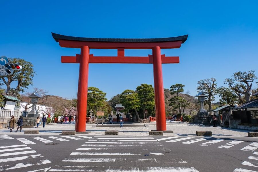 Tokyo: Kamakura & Enoshima Day Trip including Temple Tickets - What the guide adds to a packed schedule