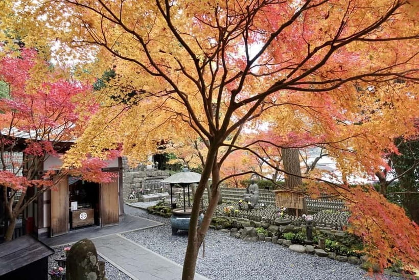 Tokyo: Kamakura & Enoshima Day Trip including Temple Tickets - Why Kamakura makes a smart day trip from Tokyo