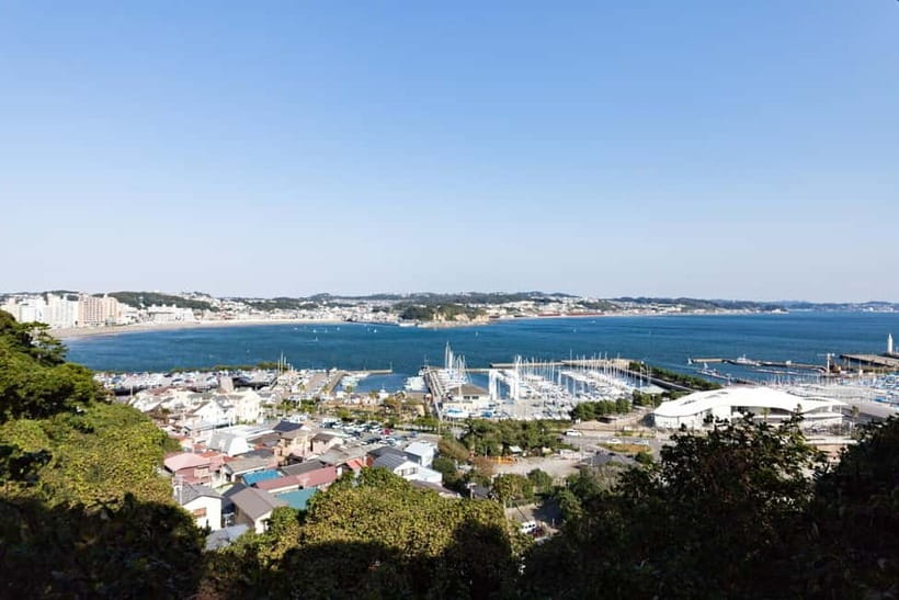 Tokyo: Kamakura & Enoshima Day Trip including Temple Tickets - Hasedera, flowers, views, and the Eleven-Headed Kannon