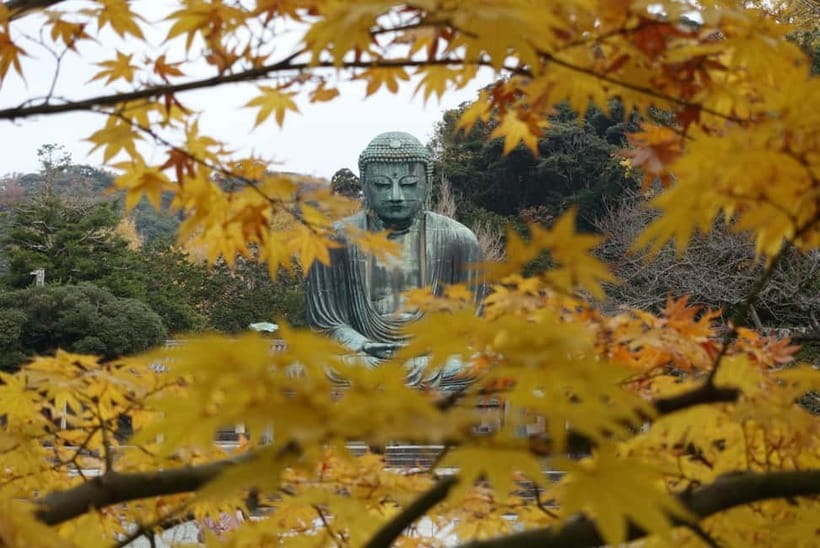 Tokyo: Kamakura & Enoshima Day Trip including Temple Tickets - Kōtoku-in and the Great Buddha of Kamakura