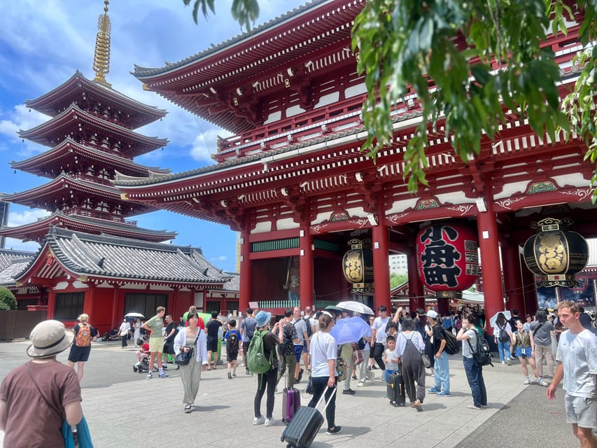 Tokyo: Meiji Jingu Shrine and Shinto Culture Walking Tour - Why Meiji Shrine makes a good first stop in Tokyo