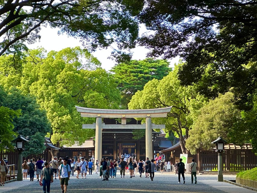 Tokyo: Meiji Jingu Shrine and Shinto Culture Walking Tour - The guides and the English experience