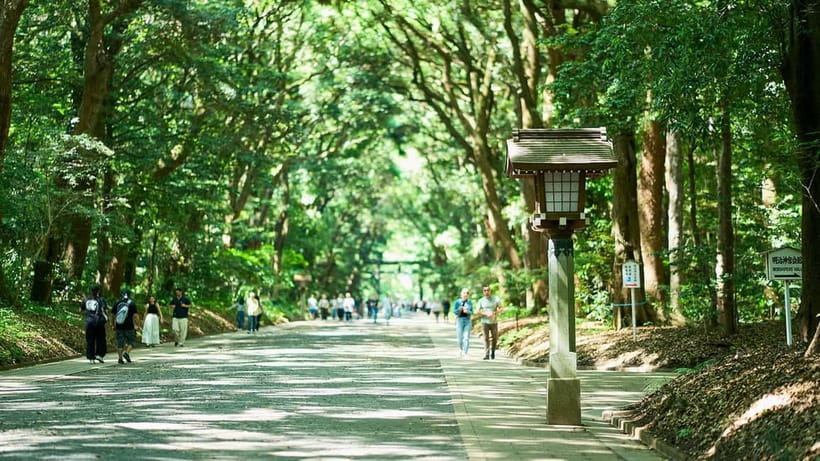 Tokyo: Meiji Shrine Walking Tour — Shinto & Imperial System - Sake barrels, wine barrels, and a modern shrine tradition