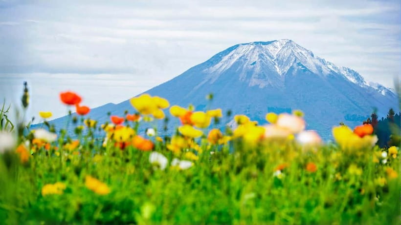 Tokyo: Mount Fuji 5th Station & Onsen Day Trip - Tokyo to Fuji by bus: an easy but long day