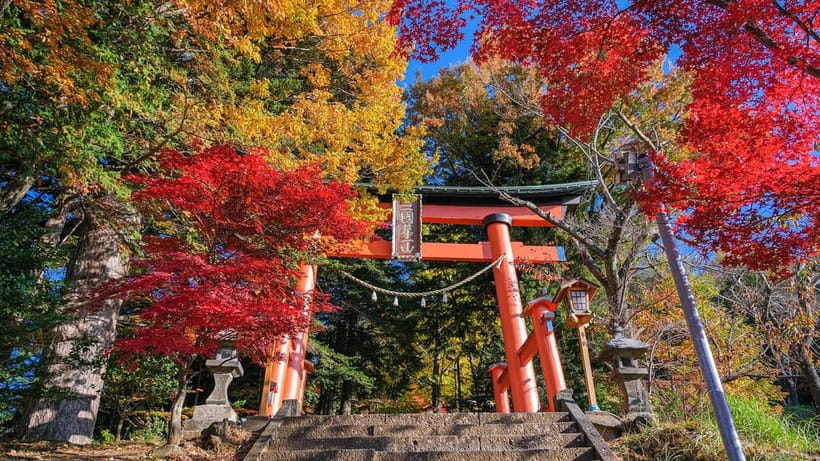 Tokyo: Mount Fuji 5th Station & Onsen Day Trip - The guide can shape the whole experience