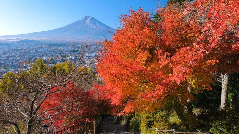 Tokyo: Mount Fuji 5th Station & Onsen Day Trip - Should you book it?