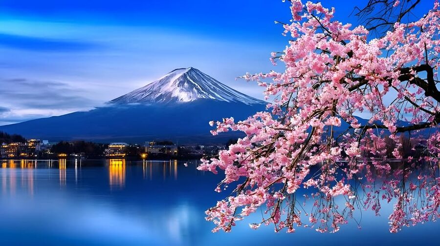 Tokyo: Mount Fuji and Hakone private sightseeing tour - Choosing between the Fuji and Hakone routes