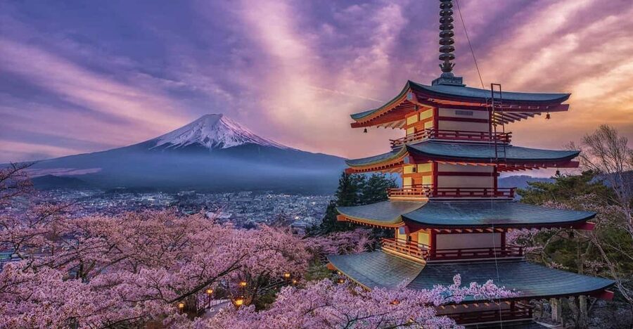 Tokyo: Mount Fuji & Hakone Private Tour with Guide - The big picture: one ambitious day from Tokyo