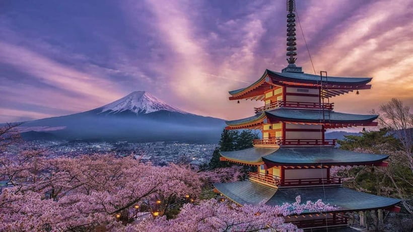 Tokyo: Mount Fuji & Hakone Private Tour with Guide - Cedar trees and shrine traditions at Kitaguchi Hongu