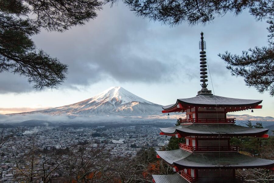 Tokyo: Mount Fuji & Hakone Private Tour with Guide - Hakone Ropeway and the sulfur valley