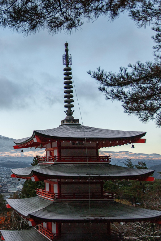 Tokyo: Mount Fuji & Hakone Private Tour with Guide - What the vehicle and service add