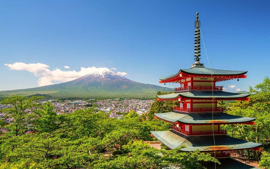 Tokyo: Mount Fuji Private Tour with Scenic Lunch Experience - Key points to know before you book
