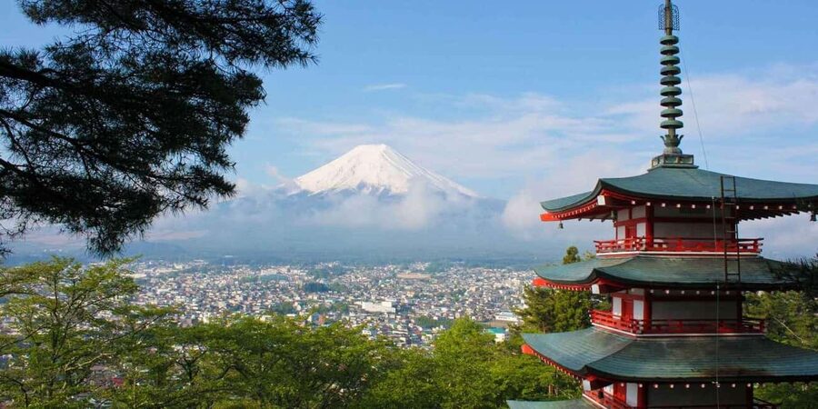 Tokyo: Mount Fuji Private Tour with Scenic Lunch Experience - Why a private Fuji day can be worth the cost