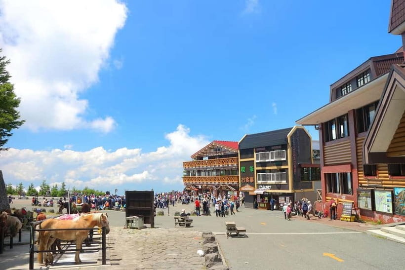 Tokyo: Mt. Fuji 5th St, Gotemba & Hakone by Luxury Bus - Key points to know before booking