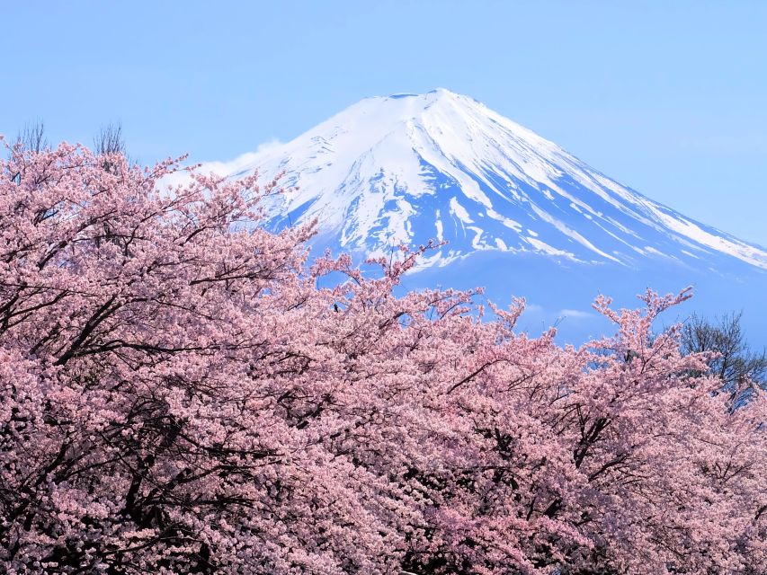 Tokyo: Mt. Fuji 5th Station & Hakone Cruise 1-Day Bus Tour - Key things to know before you book
