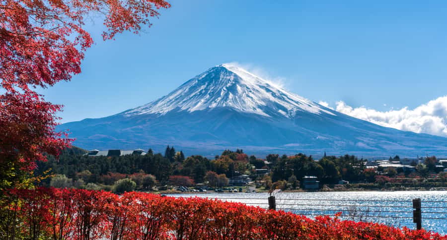 Tokyo: Mt. Fuji 5th Station, Kawaguchiko Tour w/ Cable Car - Lunch at Highland Resort Hotel and Spa