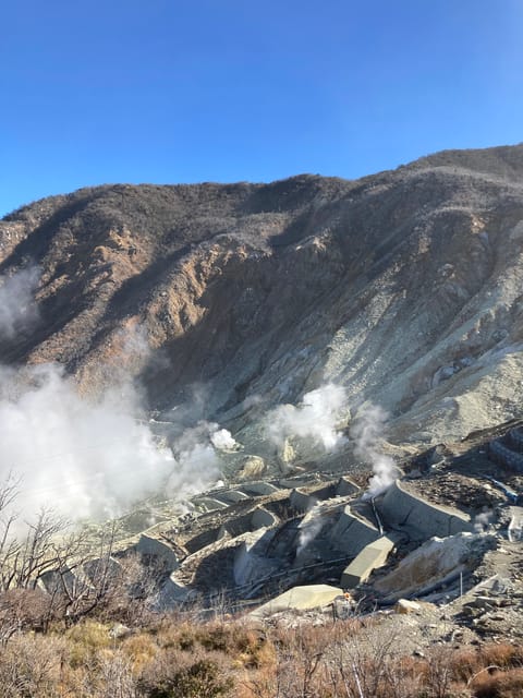 Tokyo: Mt. Fuji and Hakone Tour with Cable Car and Cruise - Should you book this Mt. Fuji and Hakone day trip?