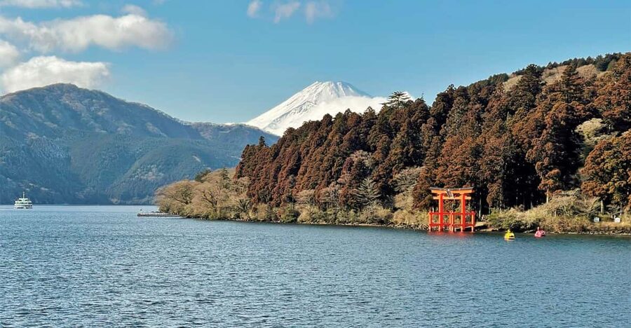 Tokyo: Mt. Fuji and Hakone Tour with Cable Car and Cruise - Accessibility, children, and practical limits