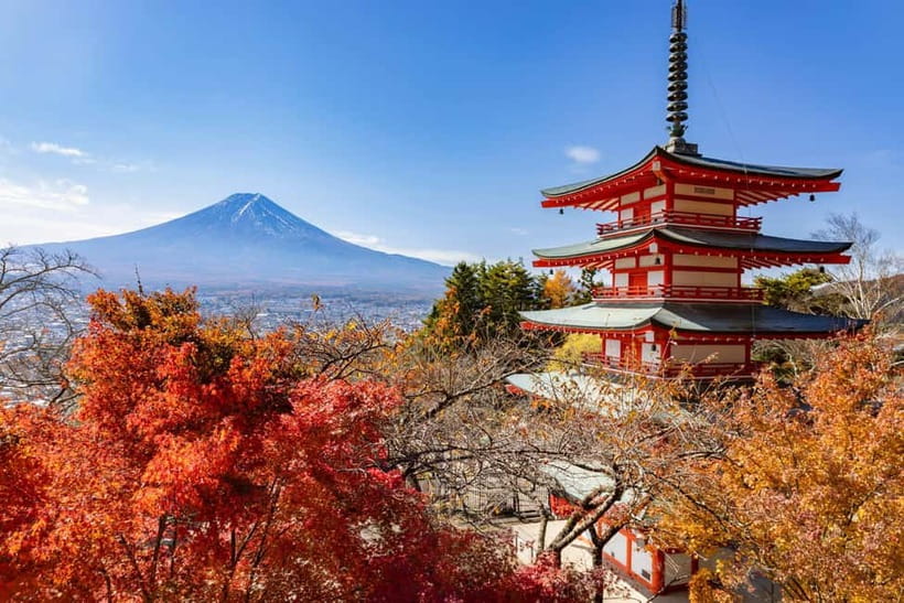 Tokyo: Mt. Fuji, Arakurayama Sengen Park, Oshino Hakkai Tour - Key points to know before booking