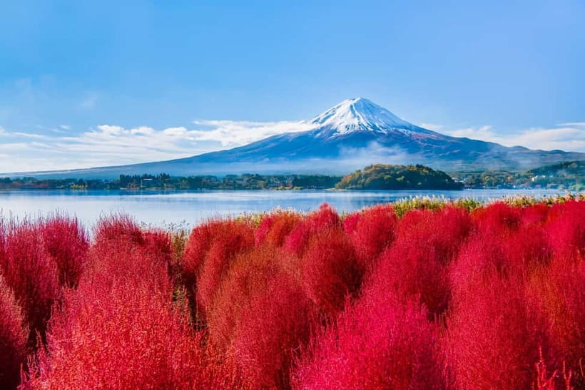 Tokyo: Mt. Fuji, Arakurayama Sengen Park, Oshino Hakkai Tour - Why this Mount Fuji day trip works