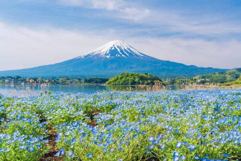 Tokyo: Mt. Fuji, Arakurayama Sengen Park, Oshino Hakkai Tour - Oishi Park and Lake Kawaguchi views