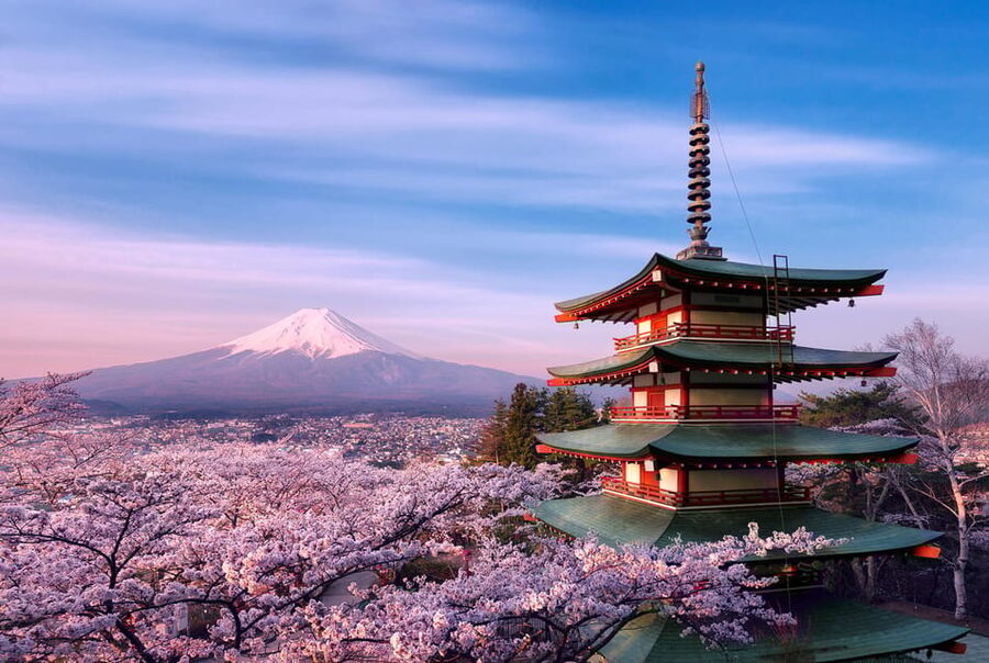 Tokyo:Mt Fuji & Hakone Day Tour with English Speaking Driver - Mount Fuji 5th Station and the first big view