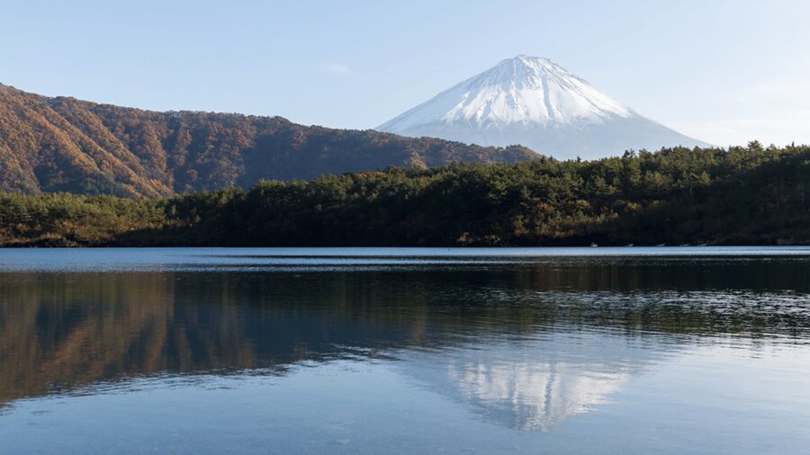 Tokyo: Mt. Fuji Hidden Gems and Aokigahara Forest Tour - Weather, timing, and what to pack