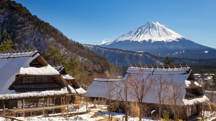 Tokyo: Mt. Fuji Hidden Gems and Aokigahara Forest Tour - Aokigahara Forest beyond its grim reputation