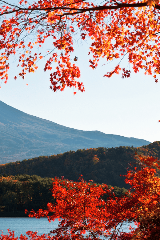 Tokyo: Mt. Fuji Hidden Gems and Aokigahara Forest Tour - Oishi Park and the classic Lake Kawaguchi view
