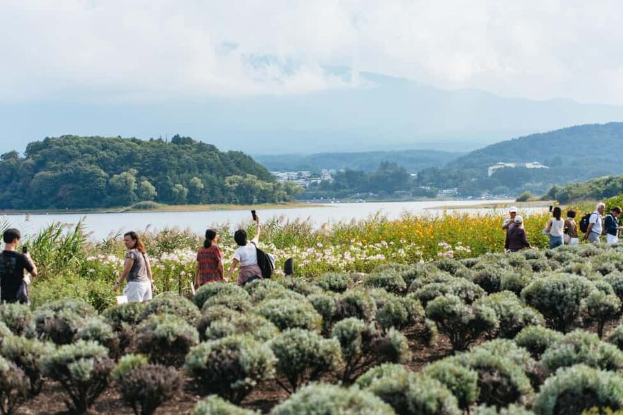 Tokyo: Mt. Fuji, Kamakura, Big Buddha, & Lake Ashi Day Trip - The coach ride: useful, but not effortless
