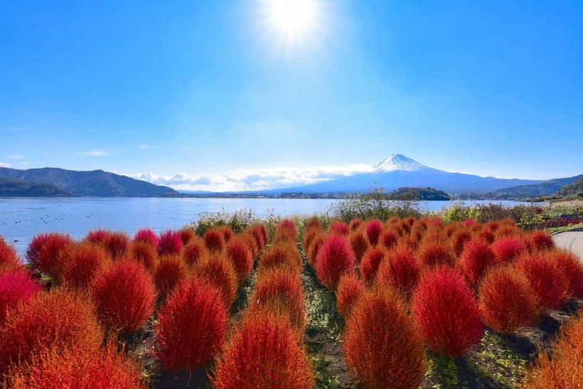 Tokyo:Mt.Fuji,Kawaguchiko Oishi Park,Arakurayama Sengen Park - Weather, traffic, and the real pace of the day