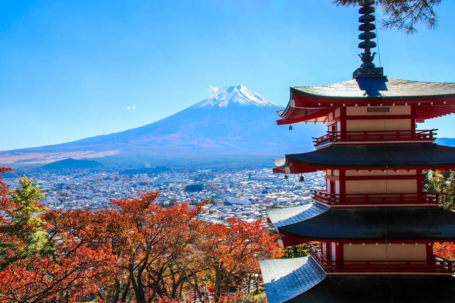 Tokyo:Mt.Fuji,Kawaguchiko Oishi Park,Arakurayama Sengen Park - Oishi Park and its seasonal Flower Road
