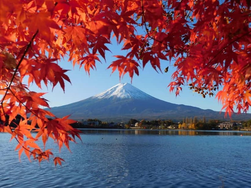 Mount Fuji across Lake Kawaguchi with maples turning red in the foreground