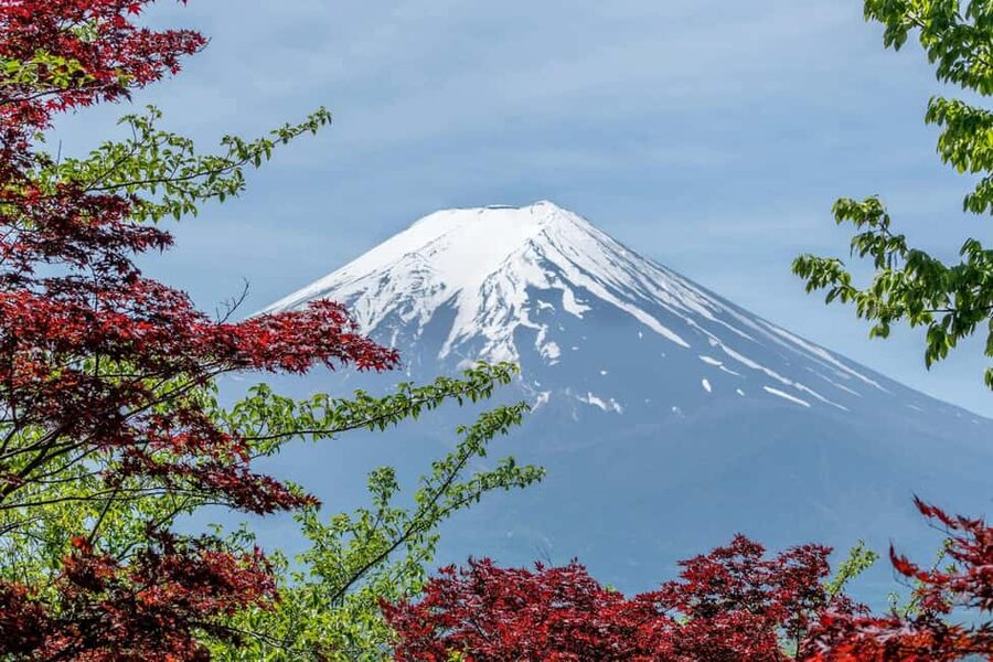 Tokyo: Mt. Fuji & Lake Kawaguchi Private Tour with Transfer - Oshino Hakkai and Fujiyoshida for a slower pace